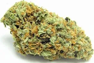 Buy Green Crack Kush weed strain UK